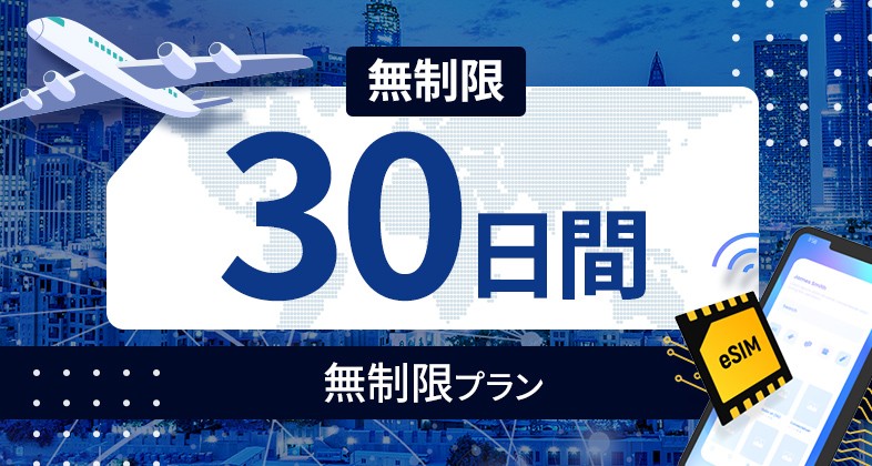 ベトナム 無制限 / 30日間